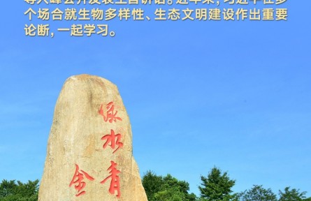 生物多樣性保護(hù) 習(xí)近平給出“中國(guó)方案”