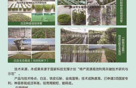 功能性植物種苗工廠化組培快繁、生態(tài)立體種植及高值產(chǎn)品開(kāi)發(fā)