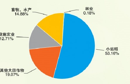 天津農(nóng)村產(chǎn)權交易所助力設施農(nóng)業(yè)建設