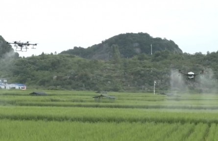 貴州：推廣無人機(jī)植保 機(jī)械化助農(nóng)增效