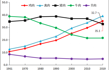 肉雞種業(yè)的昨天、今天和明天