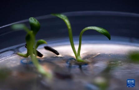 探訪中國西南野生生物種質(zhì)資源庫