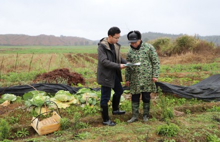 江西樂安：“查農情、知農需” 氣象服務送下鄉(xiāng)