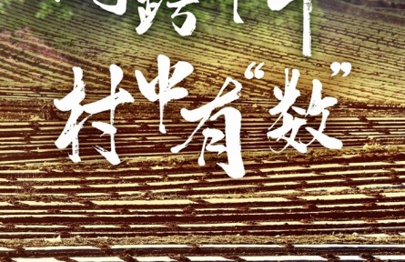 網(wǎng)跨千年，村中有“數(shù)”——“數(shù)字鄉(xiāng)村”賦能西部發(fā)展觀察