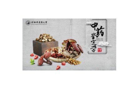 《中藥鑒定學(xué)》系列講座