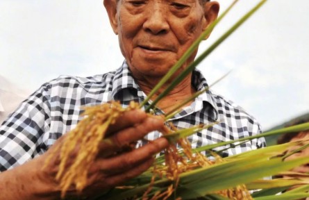 面向國民經(jīng)濟(jì)主戰(zhàn)場(chǎng)的新中國農(nóng)業(yè)科技