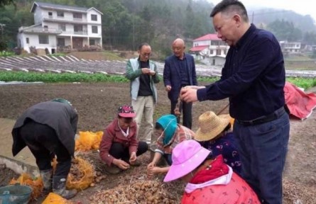 “新農人”于斌武：20年大山耕耘 讓硒土地上遍開“土豆花”