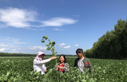 “豆大”的事兒，她一干就是37年