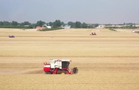 【在希望的田野上·三夏時(shí)節(jié)】夏收加快推進(jìn) 高效農(nóng)機(jī)力促提質(zhì)增效