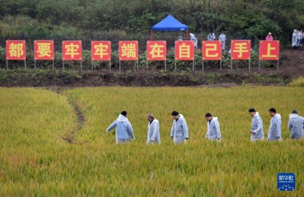 “國家科技創(chuàng)新力的根本源泉在于人”——習近平關(guān)心科技工作者的故事