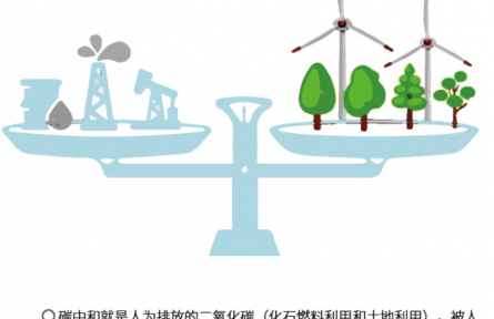 科普 | 如何抓住“碳”先機？