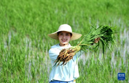 “90后”新農(nóng)人胡盼盼的田園創(chuàng)業(yè)夢