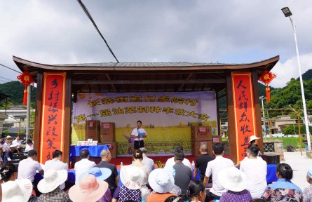 貴州黔南長順：夏糧豐收“后勁”足 鄉(xiāng)村振興“錢景”好