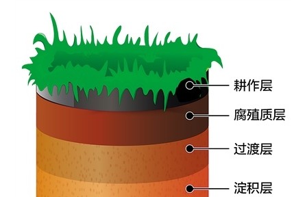 科普 | 黑土地為什么是黑色的？