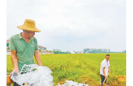 保障生活生產(chǎn)用水 努力奪取秋糧豐收