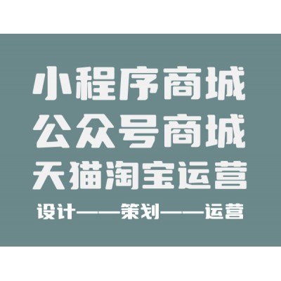 電商平臺、網(wǎng)站、公眾號商城搭建