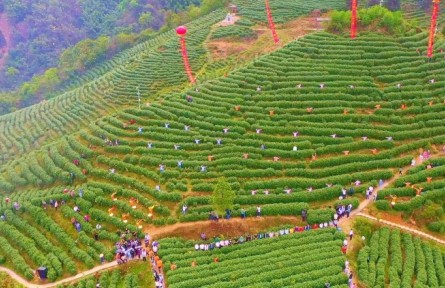 四川達(dá)州大竹縣舉辦第六屆“喊山開茶”文化節(jié)