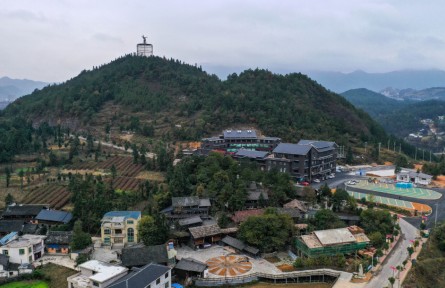 二十大代表在基層 | 余留芬：播撒“致富”種子 同享“共富”果實(shí)