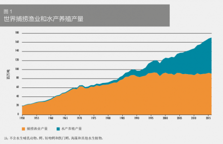 科普 | 在海洋中“放牧”——海洋如何變糧倉(cāng)？