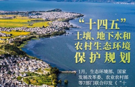 長江黃河、黑土濕地……縱覽2022美麗中國新畫卷