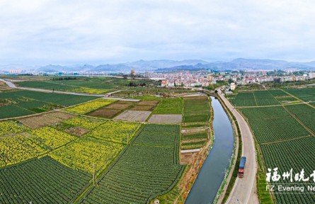 福建連江：3000畝冬閑田變“聚寶盆”