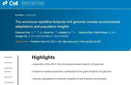 科學(xué)家完成南極磷蝦基因組圖譜破譯