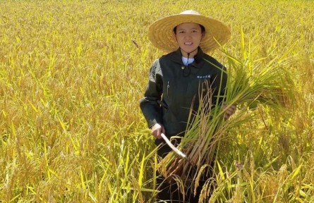 全國三八紅旗手標兵陳雨佳：爭做興糧節(jié)糧行動派 當好鄉(xiāng)村振興新農(nóng)人