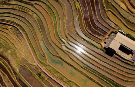 四川米易：傈僳梯田層層疊疊