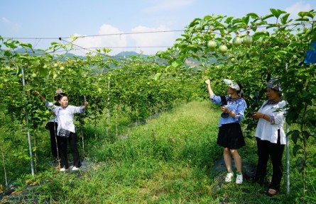 貴州榕江：搶跑“新媒體+”新賽道 點燃鄉(xiāng)村振興新引擎