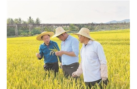 40年南北遷徙，育種人無(wú)問(wèn)西東——記江蘇里下河地區(qū)農(nóng)業(yè)科學(xué)研究所水稻育種團(tuán)隊(duì)