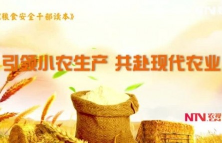 《糧食安全干部讀本》：引領(lǐng)小農(nóng)生產(chǎn) 共赴現(xiàn)代農(nóng)業(yè)