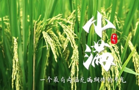 《節(jié)氣里的大美中國(guó)》小滿(mǎn)：一個(gè)最有內(nèi)涵充滿(mǎn)期待的節(jié)氣