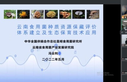 中華全國供銷合作總社昆明食用菌研究所“云南食用菌種質(zhì)資源收集保存、鑒定評價和生態(tài)促繁技術應用”成果評價公告【2022（47號）】