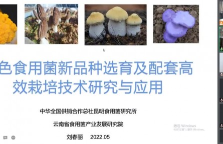 中華全國(guó)供銷合作總社昆明食用菌研究所“特色食用菌新品種選育及配套高效栽培技術(shù)創(chuàng)新與產(chǎn)業(yè)化應(yīng)用”成果評(píng)價(jià)公告【2022（48號(hào)）】