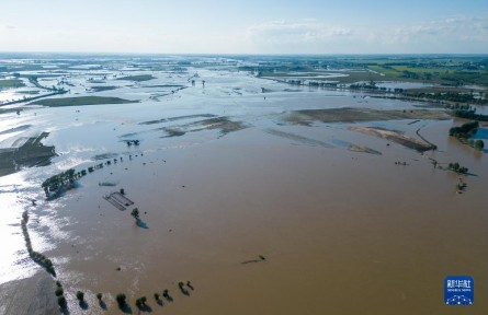 記者五常農(nóng)田實(shí)地探訪：強(qiáng)降雨對五常大米有何影響？