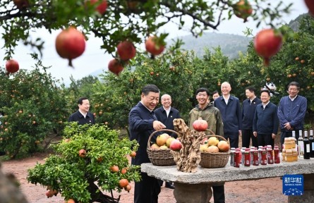 習(xí)近平在浙江考察時強(qiáng)調(diào) 始終干在實(shí)處走在前列勇立潮頭 奮力譜寫中國式現(xiàn)代化浙江新篇章 返京途中在山東棗莊考察