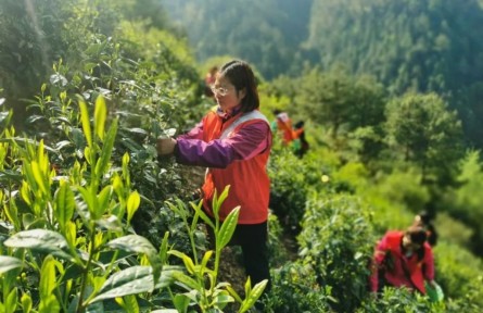 “全國三八紅旗手”江紫霞：多為群眾辦實事，心里踏實