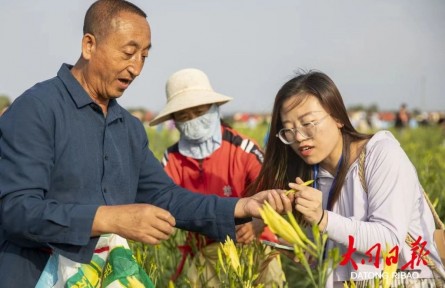 山西大同黃花產(chǎn)業(yè)入選知識產(chǎn)權(quán)強(qiáng)國建設(shè)典型案例