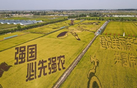 用好黃河水 種出好“豐”景——寧夏賀蘭縣探索節(jié)水增效“一田多產(chǎn)”新路徑