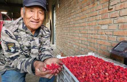 黑龍江甘南：?？h共建 為農(nóng)業(yè)插上科技的翅膀