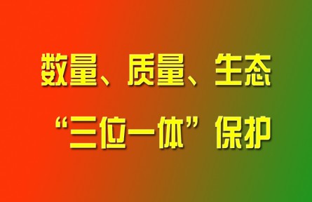 習(xí)近平論強(qiáng)化耕地數(shù)量、質(zhì)量、生態(tài)“三位一體”保護(hù)