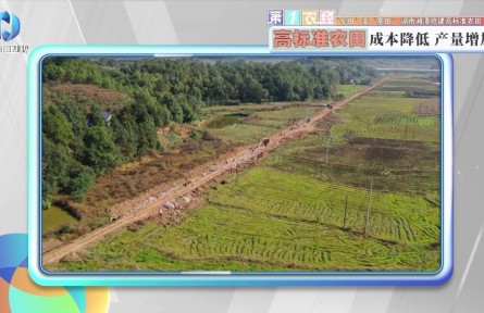 “窄田”變“寬田”，湖南湘潭搶建高標準農田