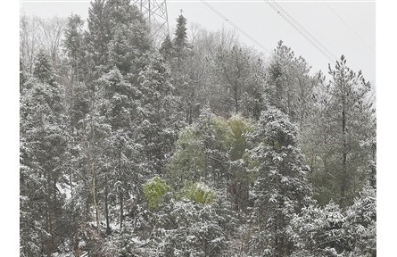 未來(lái)兩天將進(jìn)入本輪雨雪過(guò)程最強(qiáng)時(shí)段 多地多部門(mén)合力應(yīng)對(duì)低溫雨雪冰凍天氣