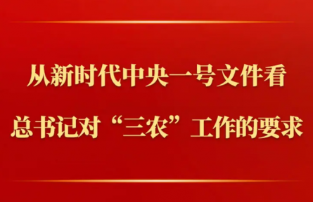 第一觀察 | 從新時代中央一號文件看總書記對“三農”工作的要求