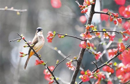 大美中國