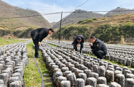 湖北竹山知識(shí)產(chǎn)權(quán)宣傳到田頭