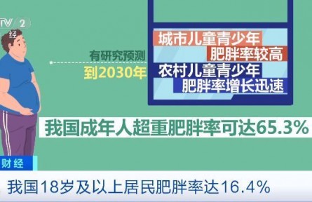 “不吃主食”“光靠運動”是減肥誤區(qū)！