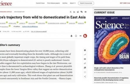 《科學》雜志發(fā)表上山文化重要研究成果 進一步確認我國是世界水稻起源地