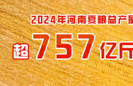 2024年河南夏糧總產(chǎn)量超757億斤 實現(xiàn)增產(chǎn)豐收