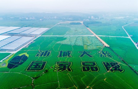 福建浦城：科技賦能，大米產(chǎn)業(yè)邁進數(shù)字化時代